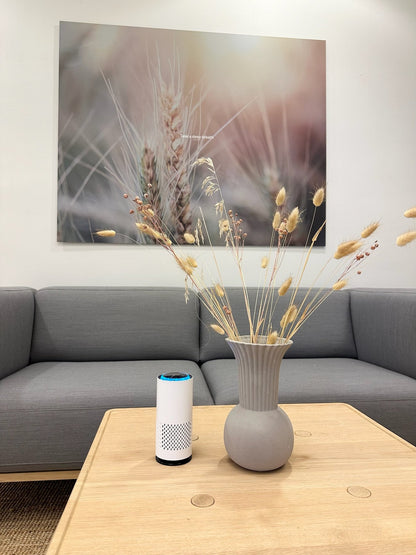 Purificateur d’air Merovale dans un bureau — src-gallery-06
