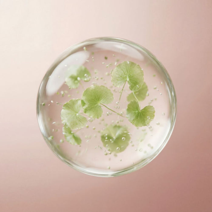 Centella Asiática